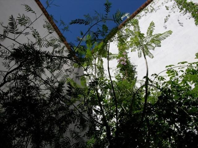 塔鲁丹特 达扎希亚旅馆酒店 外观 照片